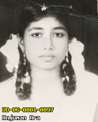 Portrait of Anjuman Ara