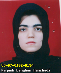 Portrait of Najmeh Dehghan Manshadi