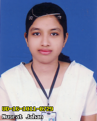 Portrait of Nusrat Jahan