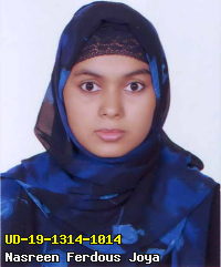 Portrait of Nasreen Ferdous Joya