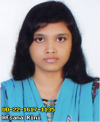 Portrait of Afsana Rini