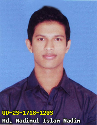 Portrait of Md. Nadimul Islam Nadim